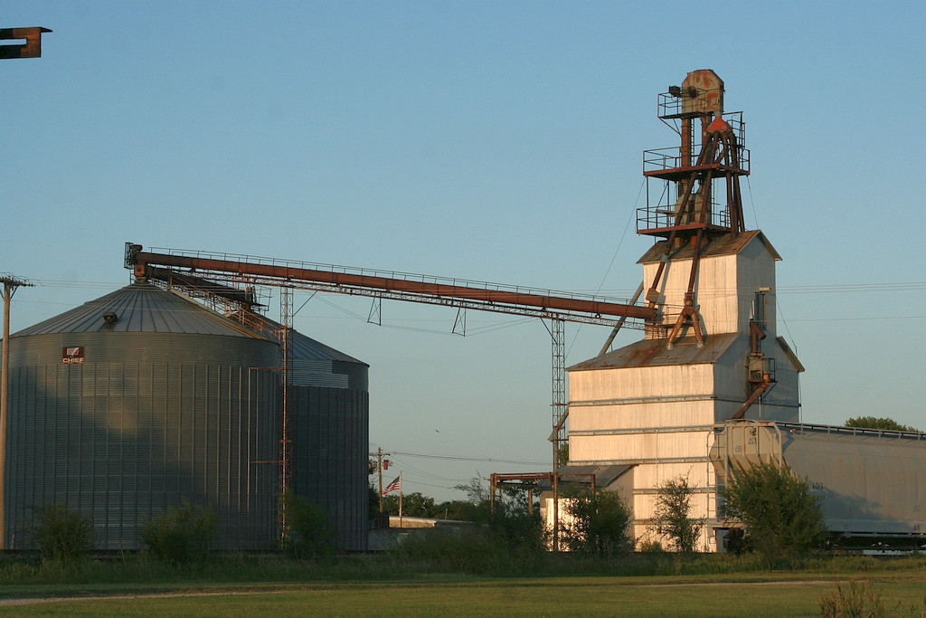 Grain plant